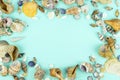 Different sea shells on a blue background Royalty Free Stock Photo