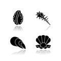 Different sea shells drop shadow black glyph icons set Royalty Free Stock Photo