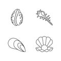 Different sea shells pixel perfect linear icons set Royalty Free Stock Photo