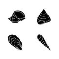 Different seashells black glyph icons set on white space Royalty Free Stock Photo