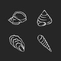 Different seashells chalk white icons set on black background Royalty Free Stock Photo