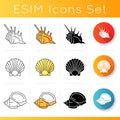 Different seashells icons set