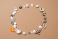 Different seashells on a ochre color background , the concept of holidays by the sea.