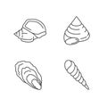 Different seashells pixel perfect linear icons set Royalty Free Stock Photo