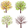 Seasons.Four Seasons, a symbol of the tree, summer, autumn, winter and summer Royalty Free Stock Photo