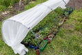 Different seedling in simplest low miniature domestic hoops greenhouse