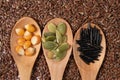 Different seeds -corn, squash, coffee- in wooden spoons on a surface of seeds and brown background Royalty Free Stock Photo