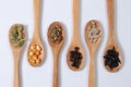 Different seeds -maize, squash, coffee, pepper, rice, sunflower- in wooden spoons on a white surface Royalty Free Stock Photo