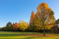 Different shades of Autumn Royalty Free Stock Photo