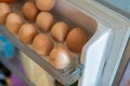 Different shades of an raw farm egg, from pure white to brown, showing harmony in diversity. Displayed in a refrigerator