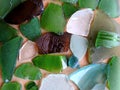 Colorful sea glass pieces