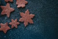 Different shapes of chocolate gingerbread cookies sprinkled with