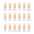 Different shapes of nails set. Collection of fashion female nail forms. Professional manicure. Vector illustration.