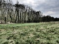 Different sharpness and blurring areas. Expressionistic visual effect. Dramatic weather, view of the meadow of a stream.