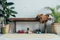 different shoes under wooden bench in corridor at home potted palm tree and ficus