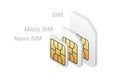 Different SIM card type in isometric style. Realistic phone card set.