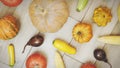 Different size pumpkins on wooden background, top view. Fall background. Halloween or Thanksgiving celebration composition. Colorf