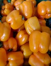 Different sizes of capsicum are displayed in a vegetable market western sahara, morocco