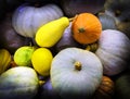 Colourful Pumpkin heap at a farm shop in New Zealand