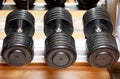 Different sizes and weights of dumbbell free weights at a gym. Royalty Free Stock Photo