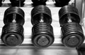 Different sizes and weights of dumbbell free weights at a gym in black and white. Royalty Free Stock Photo