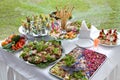 Different snacks and appetizers ready for a cocktail party. Catering concept. Royalty Free Stock Photo