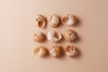 Different snail shells on a beige background, minimalism concept, monochrome palette Royalty Free Stock Photo