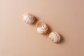 Different snail shells on a beige background, minimalism concept, monochrome palette Royalty Free Stock Photo