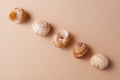 Different snail shells on a beige background, minimalism concept, monochrome palette Royalty Free Stock Photo