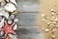 Different snails and seashells on the left side of wooden table, copy space or natural marine background