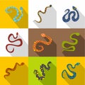 Different snake icons set, flat style