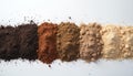 Different soil types arranged in parallel lines, showing contrast in color and texture. Samples range from dark brown to light Royalty Free Stock Photo