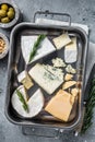 Different sorts of cheese - camembert, brie, blue cheese, parmesan with olives, nuts and herbs. Gray background. Top view Royalty Free Stock Photo