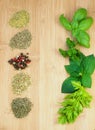 Different sorts of dried and fresh spices Royalty Free Stock Photo