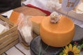 Different sorts of Italian cheese wheels at a market Royalty Free Stock Photo