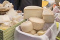 Different sorts of Italian cheese wheels at a market Royalty Free Stock Photo