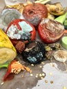 Different sorts of rotten fruits and vegetables on gray paper i Royalty Free Stock Photo