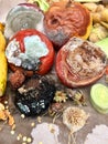 Different sorts of rotten fruits and vegetables on gray paper i Royalty Free Stock Photo