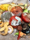 Different sorts of rotten fruits and vegetables on gray paper i Royalty Free Stock Photo