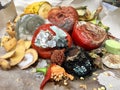 Different sorts of rotten fruits and vegetables on gray paper i Royalty Free Stock Photo