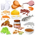 Different sources of Protein Food Collection Royalty Free Stock Photo