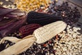 Different species and colors of corn on wooden table, selective blur