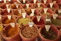 Different spices Royalty Free Stock Photo