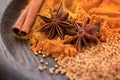 Different spices. Cinnamon sticks, star anise, mustard seeds and turmeric powder on a wooden plate . Macro Royalty Free Stock Photo