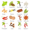 Different spices color flat icons set