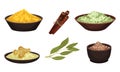 Different Spices and Condiments Dried and Powdered Poured in Bowl Vector Set