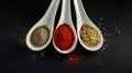 Different spices in dark background Royalty Free Stock Photo