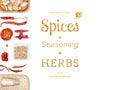 Different spices and herbs on white background. top view