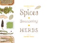 Different spices and herbs on white background. top view