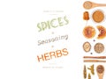 Different spices and herbs on white background. top view